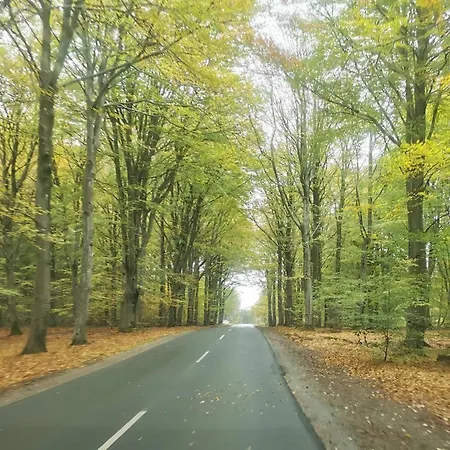 Vakantiehuis 6 Person In Henne-by Traum Henne Strand