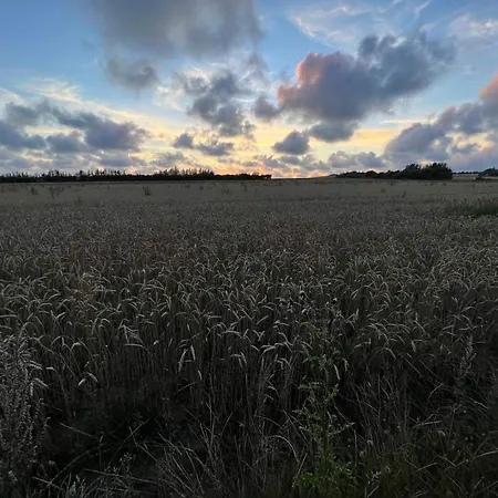 Vakantiehuis 6 Person In Henne-by Traum *