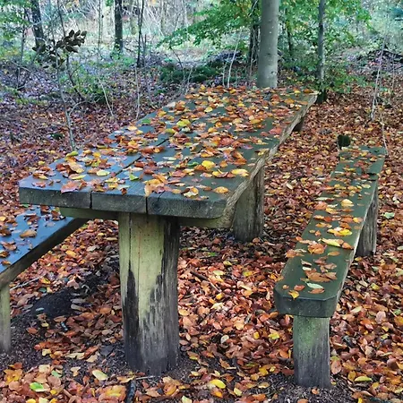 Vakantiehuis 6 Person In Henne-by Traum *