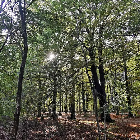 6 Person In Henne-by Traum * Henne Strand