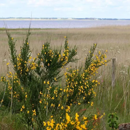 6 Person In Henne-by Traum Vakantiehuis